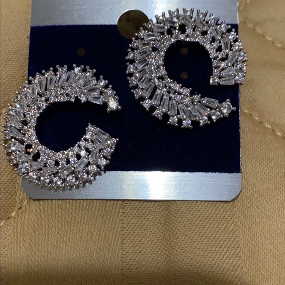 Fashion earrings